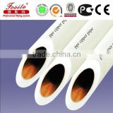 DIN GB standard PPR conveying water plastic tube/pipe