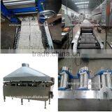 Mini Instant Noodle Plant/processing Line