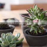 Simple Modern Flower Pot Design Planters Small Outdoor Garden thumbnail-2