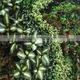 SJLJ013678 18 Square Meters Artificial Green Wall With Plant for Wall Decoration thumbnail-5