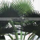 Artificial Palm Trees,for Shopping Mall Decorative Artificial Palm Tree thumbnail-4