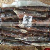 Frozen Squid(loligo Squid,frozen Fish) thumbnail-6