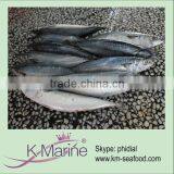 China New Production of Frozen Fish Lot Number#kmw4045 thumbnail-1