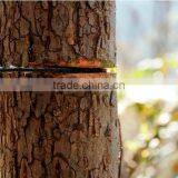 BD-350-1 High Limb Protable Pocket Hand Chainsaw thumbnail-3