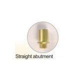 Straight Abutment for Implant thumbnail-1