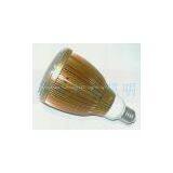 High Power LED Bulbs