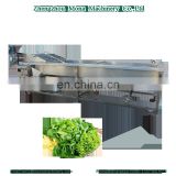 Hot selling Vegetable Washing Machine/bubble Washer/ozone with low cost