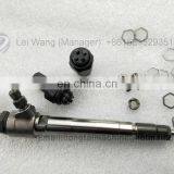 BOSCH Common Rail Injector 0445 110 333/383 thumbnail-2