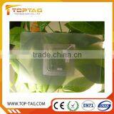 CR80 Transparent Business Cards / Standard Inkjet Pvc Card