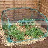 Pop up Garden Mini Greenhouse thumbnail-1