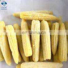 2020 New Crop Top Grade for Sale IQF Frozen Baby Corn Cut thumbnail-4