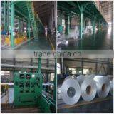 Shandong Malike Imp.& Exp. Co., Ltd. company overview - view 1 thumbnail