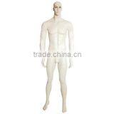 Reasonable Price Plastic Half Body Mannequin/Newly Half Body Mannequin/Muscle Male Torso Mannequin thumbnail-4
