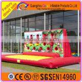 Great Fun & Thrilling Amusement Equipment Inflatable Boxing Wall