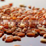 Suvimie Traditional Rice (Kuruluthuda) thumbnail-2