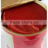 HOT!! 800g canned recipe for tomato brix 28-30, easy/normal open,