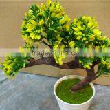 Home Decoration Use NEW Mini Novel Ceramic Porcelain Bonsai Grass Doll Hair Plant Head Planter Gift thumbnail-5