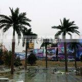 Bus Station Landscaping Big Artificial Palm Tree thumbnail-1
