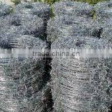 Hot Sale Barbed Wire Length per Roll /barbed Wire Fence/barbed Wire Price Express