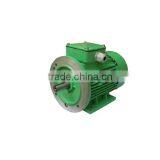 YE2-315L2-2 (2 Pole Three Phase High Efficient Asynchronous Industry Motor AC Motor) thumbnail-4