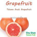 Grade A Fresh Grapefruit thumbnail-3