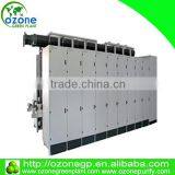 Hot selling Corona discharge ozone generator for sewage water treatment