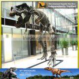 MY Dino-C024 Life Size Golden Dinosaur Skeleton thumbnail-3
