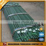 Galvanized or Green Painted With Spade T Type Metal Fence Posts
