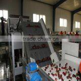 YTF Type no Damage Cherry Screen Machine/grading Line/sieving MachineCherry /prunus Pseudocerasus/cerise/Nyatoh/Red Cherries