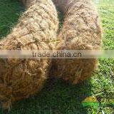 Coir Logs-2