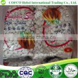 Roasted and Salted Pumpkin Seeds thumbnail-1