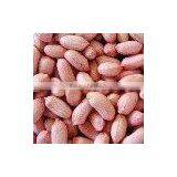 PEANUTS KERNELS thumbnail-1