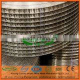 1/4 inch Galvanized Welded Wire Mesh Anping County 24 years Factory
