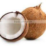 VIETNAM COCONUT - KeGo Co., Ltd thumbnail-2