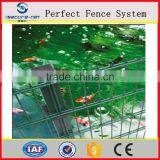 Twin Welded Wire Mesh Fencing Pvc Coated Double Wire Hebei Factory