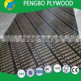 Poplar Main Material and First-Class, Furniture Grade Film Coated Plywood thumbnail-5