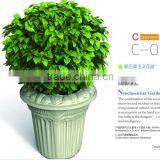 Neoclassicism Garden Planter C-02A thumbnail-1