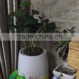 Smart Home Automation System Air Purifier for Home With Oxygen Generator thumbnail-2