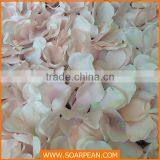 Colorful Artificial Flower Wall Decorative Tissue Fabric Flower