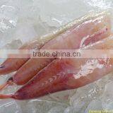 IQF Wild Monkfish Tail (Lophius Litulon) thumbnail-1