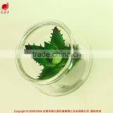 Hanging Glass Succulents Terrarium Mini Artificial Plants for Home Decoration thumbnail-2