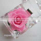 Hot Sale Long Lasting Preserved Flower Ring Box For Valentine's Day Gift thumbnail-1