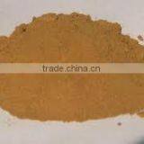 Belladonna Extract thumbnail-1