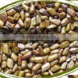 Best Cassia Seed thumbnail-1