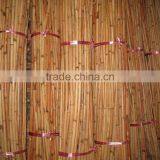 Red Water Rattan Cane thumbnail-2