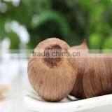 HALAL Fermention Food Solo Black Garlic Helping in Adjusting Blood Pressure --HC Company thumbnail-1