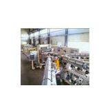 PLASTIC Monolayer and Multi-layer Sheet Extrusion Line thumbnail-1