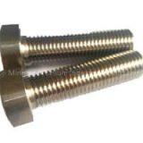 Titanium Hexagonal Bolts