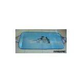 Car Snow Shade thumbnail-1