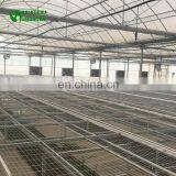 High Quality Wholesale Plant Nursery With Low Cost thumbnail-4